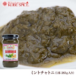 ミントチャトニ 283g 1本　チャツネ 調味料 ソース Vegetarian みんと MINT Achar インド料理 インドカレー