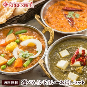 カレー MTRレトルトカレー 選べる3品（300g2品+170g1品）お試しセット 簡易パッケージ ゆうパケット便送料無料