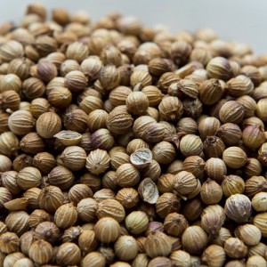 コリアンダーシード ブラウン モロッコ産 500g Coriander Seeds,コエンドロ,原型,スパイス,調味料,業務用,神戸スパイス