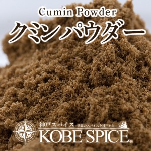 クミンパウダー 100g 【送料無料】 Cumin Powder
