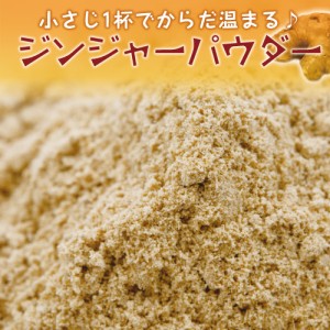 ジンジャーパウダー 50g,Ginger Powder,粉末,生姜,しょうが,スパイス,調味料,業務用,仕入【ゆうパケット便送料無料】