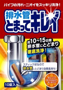 排水管 洗浄剤 洗剤 排水管とまってキレイ 排水口 スティックタイプ 非塩素系排水管 排水口 パイプ 台所 キッチン 洗面所 ヌメリ 汚れ ニ