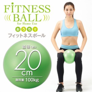 エクササイズボール フィットネスボール ヨガボール 20cm エクササイズ ダイエット ストレッチ トレーニング 健康ボール ヨガ フィットネ