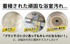 風呂用洗剤 業務用 水垢 石鹸カス 皮脂汚れ 除菌 500ml風呂 バス 浴室 浴槽 水垢 水あか 石鹸カス 石鹸かす ピンク汚れ 黒ずみ 掃除 大掃