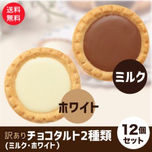 訳あり 老舗洋菓子屋 チョコタルト 2種 12個セット ミルク ホワイト 1000円ポッキリ 送料無料 ポスト投函便 ガトー チョコ タルト