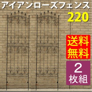 ガーデンフェンス ローズフェンス アイアン 差し込み 埋め込み式 ハイタイプ 幅62 高さ220cm 2枚組