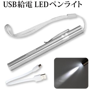 USB給電 LEDペンライト USB アウトドア メール便発送