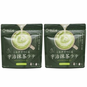 つぼ市製茶本舗 ミルクでつくる宇治抹茶ラテ 100g×2袋セット 堺 添加物不使用 送料無料