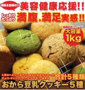 2000円ポッキリ 送料無料 ほろっと柔らか ヘルシー＆DIET応援 新感覚満腹 おから豆乳 ソフト クッキー 1kg 訳あり スイーツ