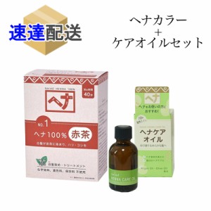 白髪染め ナイアード ヘナ100％ 赤茶 100g ヘナケアオイル 45ml 各1個セット ヘアカラー ヘアオイル