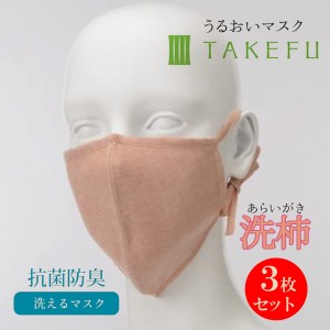 竹布 マスク TAKEFU うるおいマスク 布マスク 洗柿 あらいがき 3枚セット