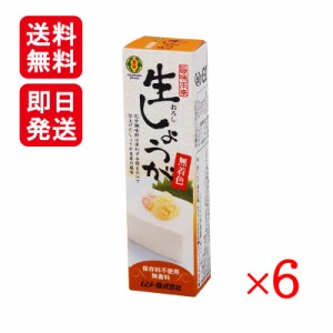 ムソー 旨味本来 生おろししょうがチューブ 40g 6本セット 香辛料 調味料 化学調味料不使用