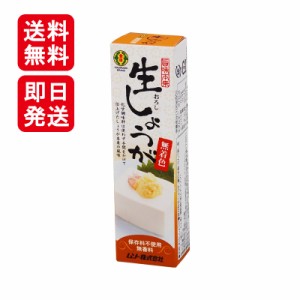 ムソー 旨味本来 生おろししょうがチューブ 40g 香辛料 調味料 化学調味料不使用