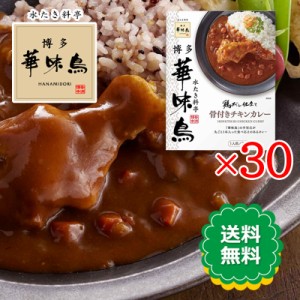 博多華味鳥 骨付きチキンカレー 200g 30箱セット カレー 鶏だし