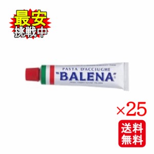 バレーナ アンチョビペースト 50g 25本セット 無添加 料理 隠し味