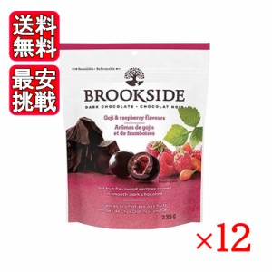 ブルックサイド ダークチョコレート ゴジ＆ラズベリー 235g 12袋セット チョコ お菓子