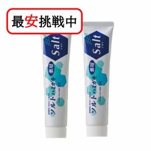 薬用ソルトハミガキ 140g 2本セット 無添加 歯磨き粉 医薬部外品 虫歯予防 エスケー石鹸