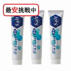 薬用ソルトハミガキ 140g 3本セット 無添加 歯磨き粉 医薬部外品 虫歯予防 エスケー石鹸