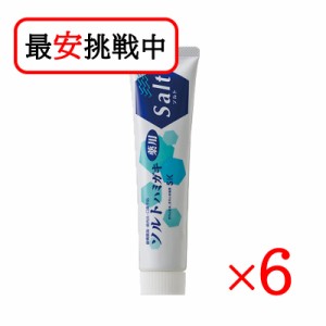 薬用ソルトハミガキ 140g 6本セット 無添加 歯磨き粉 医薬部外品 虫歯予防 エスケー石鹸