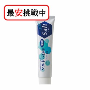 薬用ソルトハミガキ 140g 無添加 歯磨き粉 医薬部外品 虫歯予防 エスケー石鹸