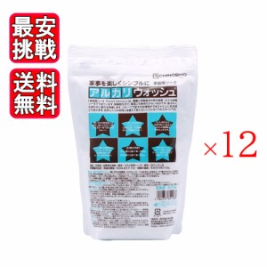 地の塩社 アルカリウォッシュ 500g 12袋セット セスキ炭酸ソーダ 掃除 洗濯 住宅用洗浄剤