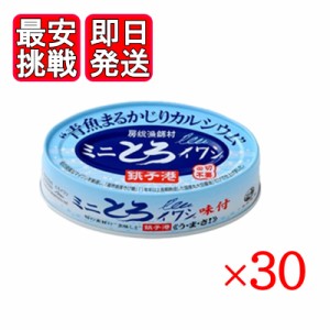 ミニとろイワシ 味付 100g 30個セット 千葉産直 缶切り不要 醤油煮 銚子港 房総漁師村