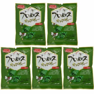 森川健康堂 プロポリス キャンディー 100g×5袋セット 健康 のど飴 送料無料