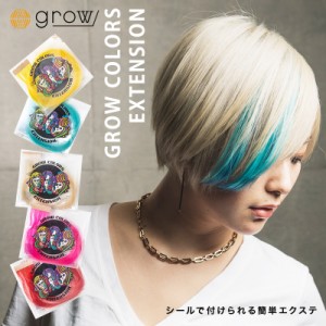 【ネコポス】GROW COLORS EXTENSION グロウカラーズエクステンション 選べる18カラー 45cm 2本分 シールエクステ ハイトーンカラー イン