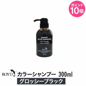 ROYD 【 ロイド 】 カラーシャンプー グロッシーブラック 300ml （ 美容室 美容院 サロン専売 ）  シャンプー ヘアケア