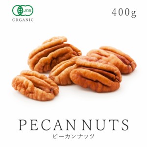 ピーカンナッツ 400g オーガニック 有機JAS認証 無添加 ピカンナッツ ぺカンナッツ バターの木 無塩 無油 保存食 非常食