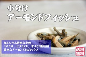 小袋 アーモンドフィッシュ 100袋 お徳用パック 学校給食採用商品 国産小魚 送料無料（沖縄・離島は除く）