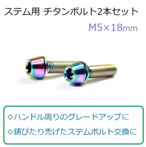 ステム用チタンボルト2本セット 美しいレインボー仕上げ ステム 軽量 ハンドル ネジ  自転車 ロードバイク クロスバイク マウンテンバイ