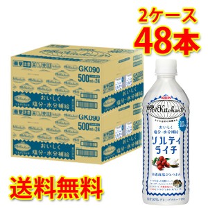 キリン 世界のKitchen ソルティライチ ペット 500ml×48本 2ケース 送料無料 北海道・沖縄は送料1000円 代引不可 日時指定不可