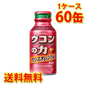 ハウス ウコンの力 カシスオレンジ味 缶 100ml ×60缶 1ケース 送料無料 北海道 沖縄は送料1000円加算 代引不可 同梱不可 日時指定不可