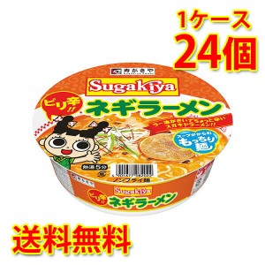 寿がきや スガキヤ すがきや SUGAKIYA ネギラーメン 24個 1ケース ラーメン カップ麺 送料無料 北海道 沖縄は送料1000円加算 代引不可 同