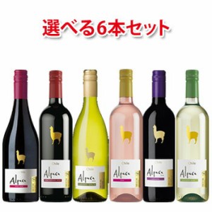 サンタ ヘレナ アルパカ 750ml 選べる 6本 セット ワイン 送料無料 北海道 沖縄は送料1000円