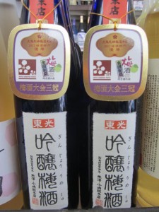 東光（とうこう）吟醸梅酒1800ml（梅酒 山形県 小嶋総本店）