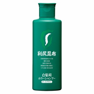 ヘアケア 育毛剤 カラーリング 利尻ケアシリーズ 白髪 ヘアオイル ブラシ 「利尻」ケアシリーズ カラーシャンプー 200ml CA8001