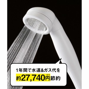 バス用品 トイレ用品 シャワーヘッド 節水シャワーヘッド 節水シャワーヘッド シルキーシャワースカルプ 802573