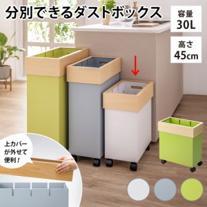 掃除用品 ゴミ箱 キッチン用ゴミ箱 キッチン用 分別 3分別 ≪30L≫ Hanger/ハンガー ダストボックス 813313