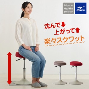 健康 健康雑貨 ミズノ mizuno スクワット ミズノスクワット 椅子 MIZUNO/ミズノ スクワットスリールα（アルファ） AR1953