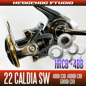 【ダイワ】22カルディアSW 4000-CXH, 4000D-CXH, 5000D-CXH用 MAX10BB フルベアリングチューニングキット HRCB防錆ベアリング