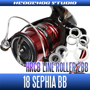 18セフィアBB 500S番専用 ラインローラー2BB仕様キット【HRCB】