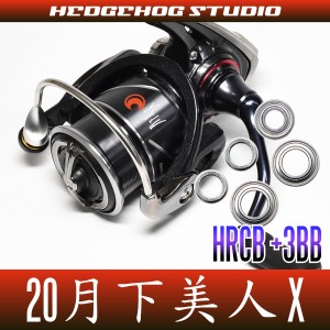 20月下美人X LT1000S-P, LT2000S-P, LT2000S用 MAX8BB フルベアリングチューニングキット(ソルト,アジング)【HRCB防錆ベアリング】