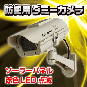 防犯グッズ ダミーカメラ 固定タイプ+ソーラーパネル付 DC-300