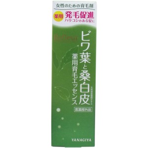 リフルール ビワ葉と桑白皮 薬用育毛エッセンス １２０ｍＬ