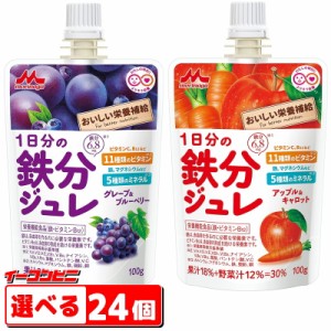 森永乳業　１日分の鉄分ジュレ　100gパウチ（グレープ＆ブルーベリー／アップル＆キャロット）　選べる２４個【送料無料(沖縄・離島除く)