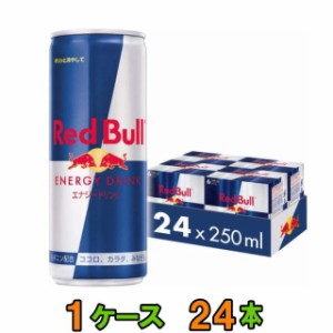 レッドブル（Red Bull） エナジードリンク 250ml　　1ケース(24本)　【送料無料(沖縄・離島除く)】