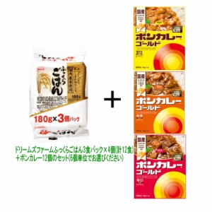 カレーライス　12食セット（レトルトごはん12個+レトルトカレー12個）ボンカレー