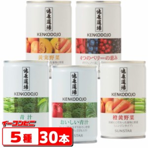 サンスター　健康道場　青汁／野菜ジュース 160g缶　５種各６本セット（計30本）　【送料無料(沖縄・離島除く)】